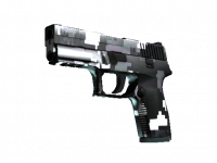 P250 Metallic DDPAT
